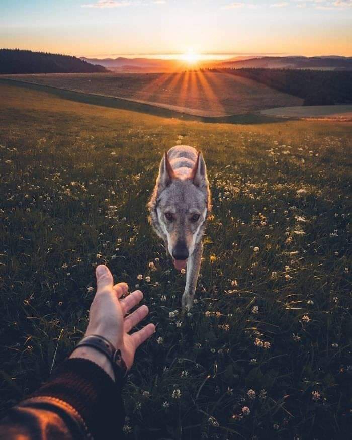 *