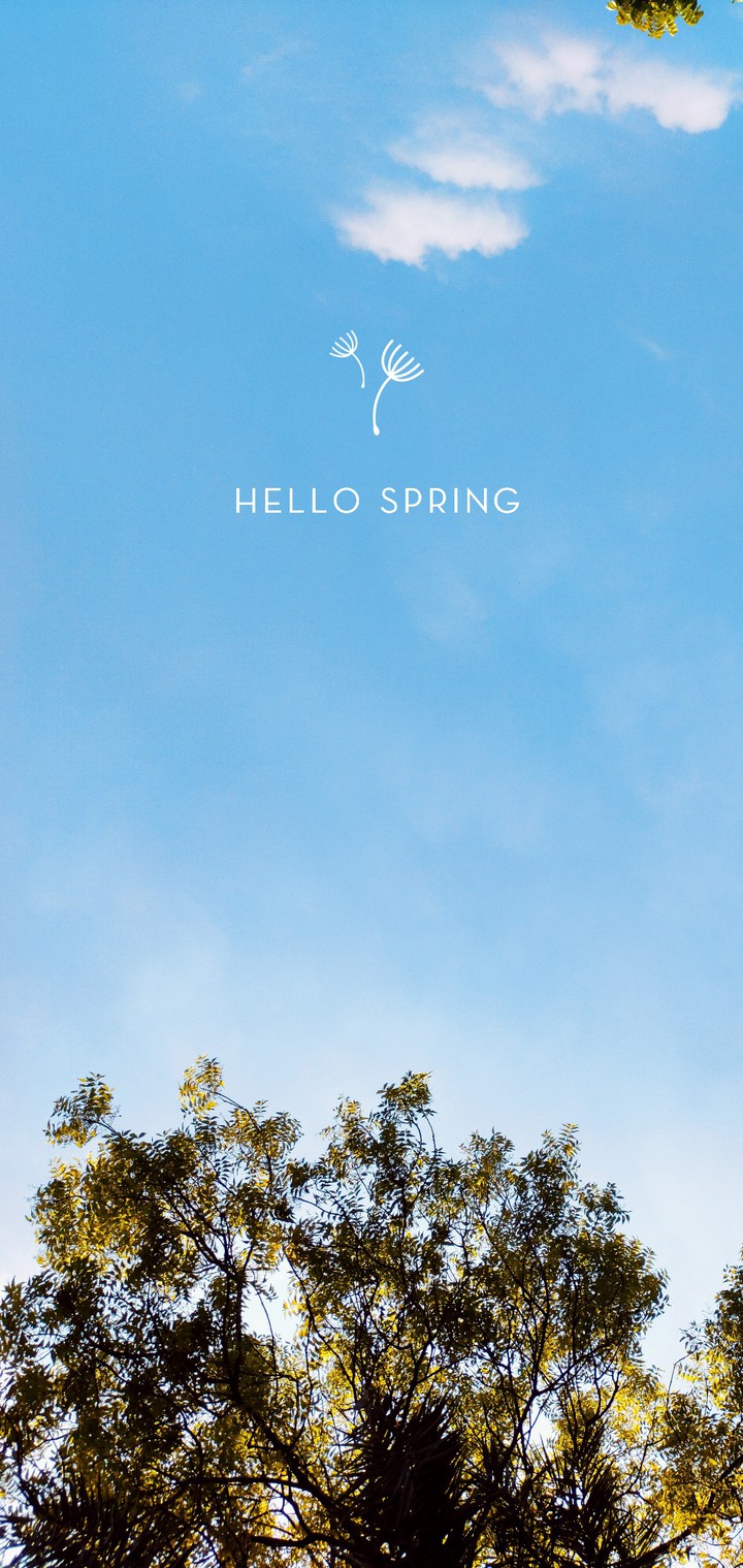 Hello spring