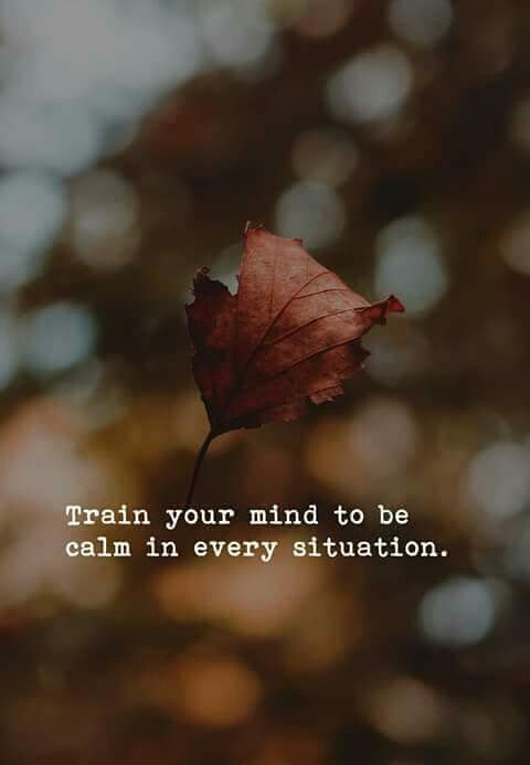#quotes