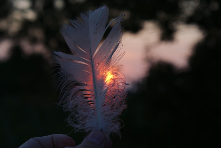 Sun goes down