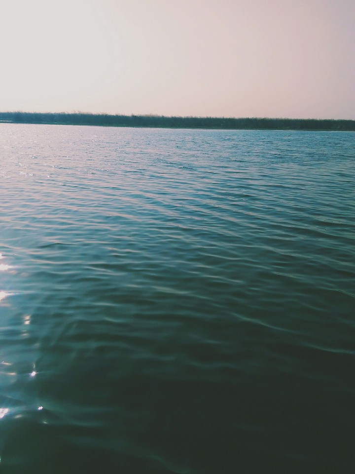 sea