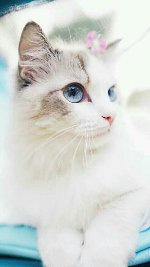 so cute