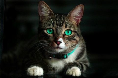 beautiful eyes. ❤✌❤