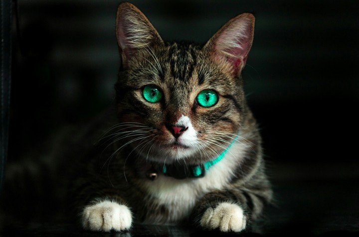 beautiful eyes. ❤✌❤
