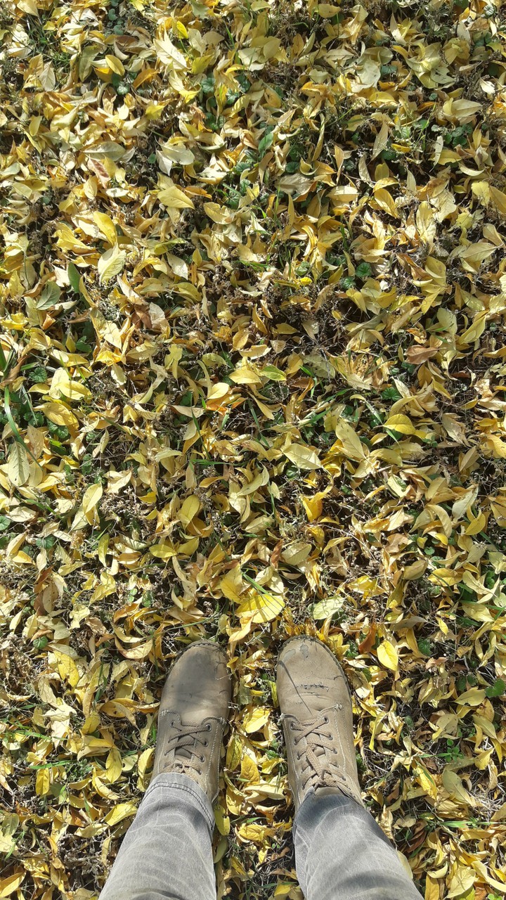 October