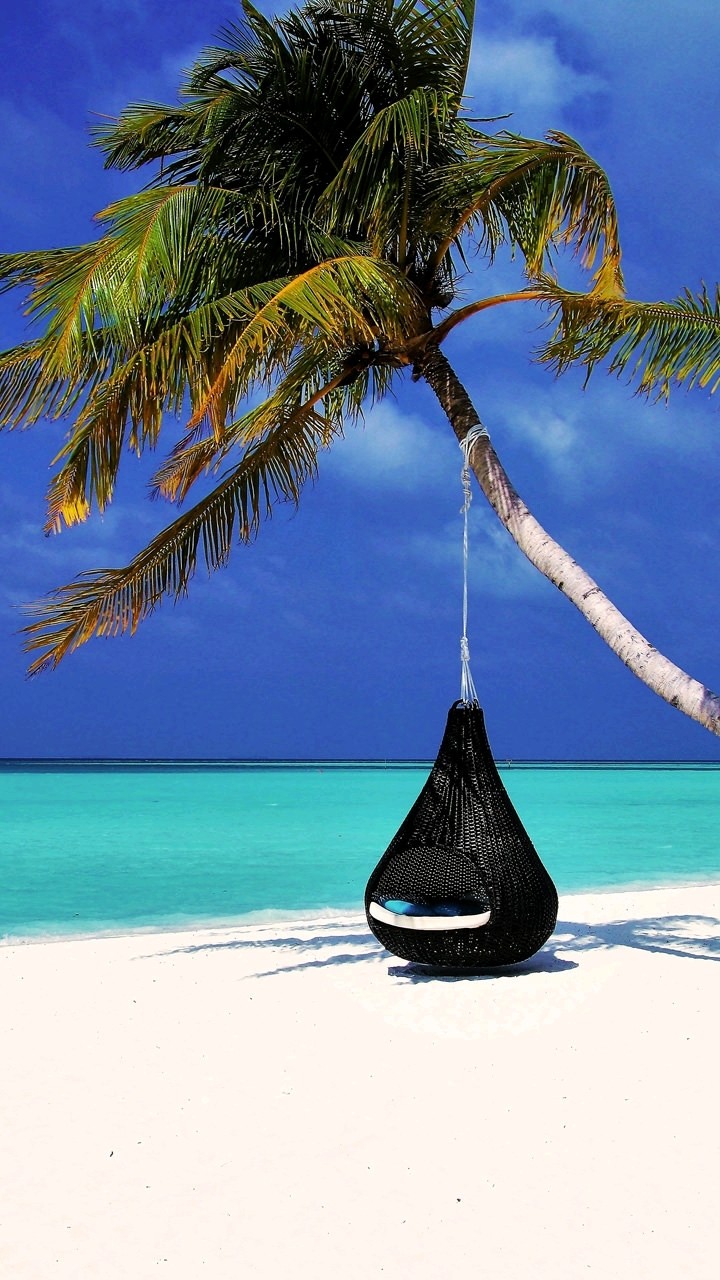 swing in beach