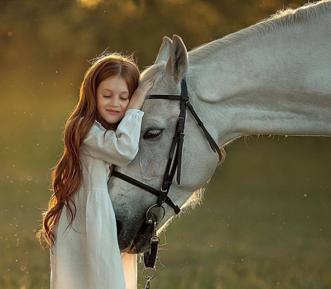 обои Friendship, mane