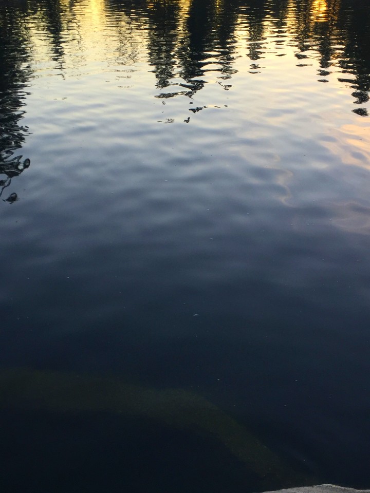 Reflection
