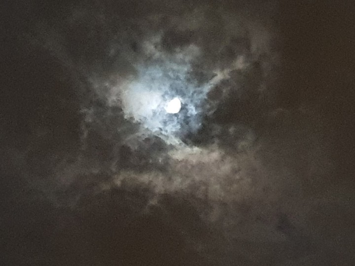 moon light
