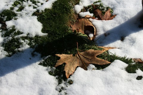 winter iran ,tehran