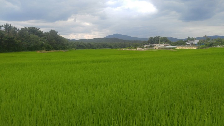경주 어느마을