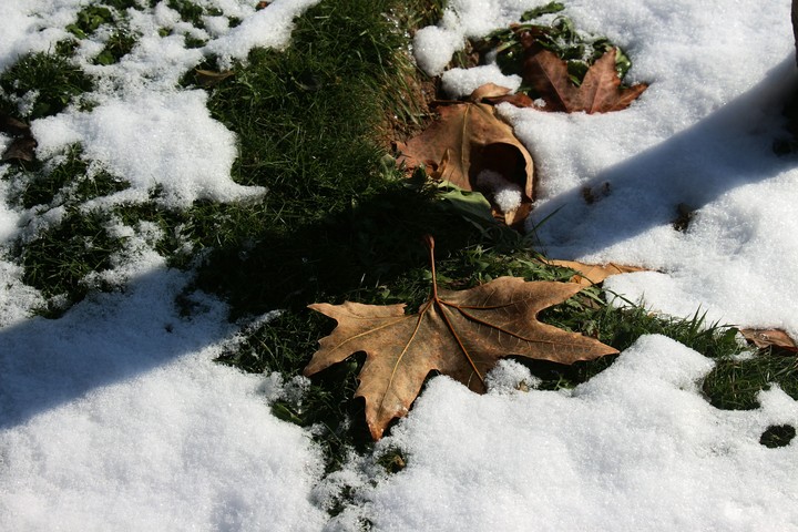 winter iran ,tehran