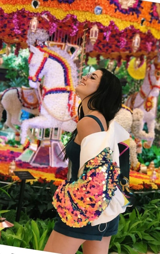 hande ercle