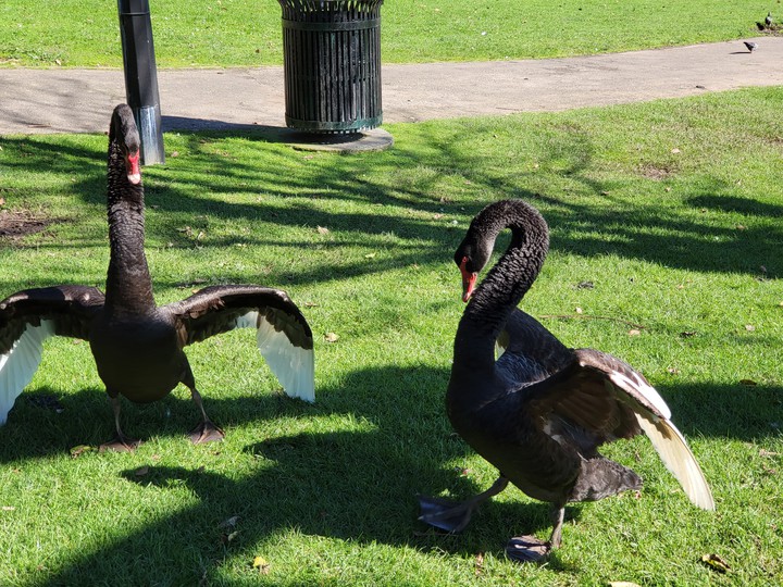 Western Springs Lakeside Park Auckland New Zealand 18/09/21