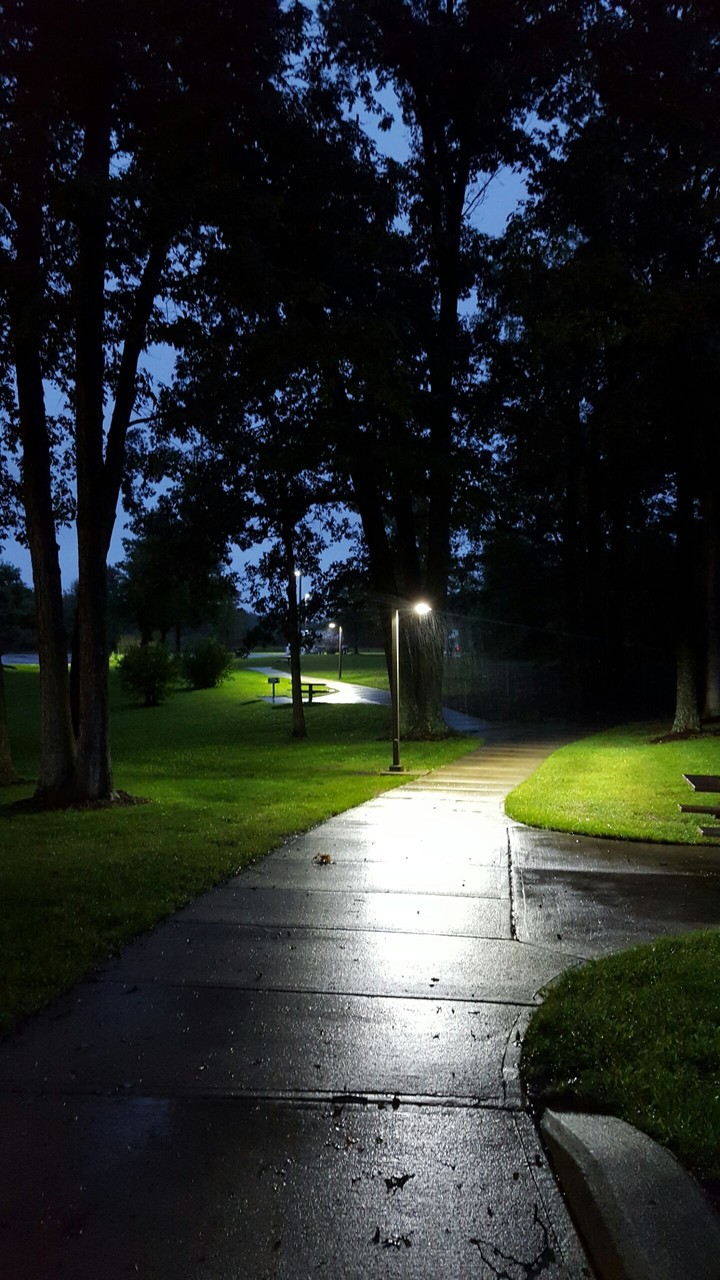 Path
