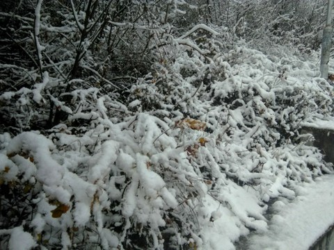 winter