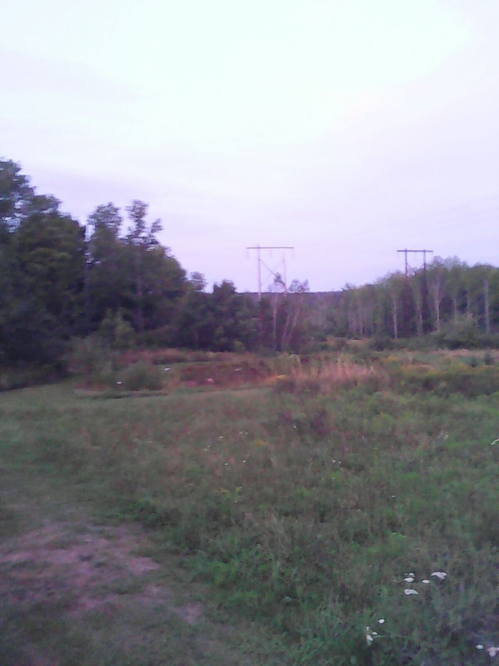 Pond