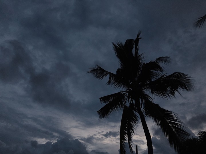 Evening
