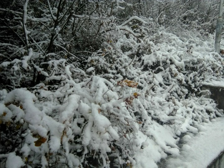 winter