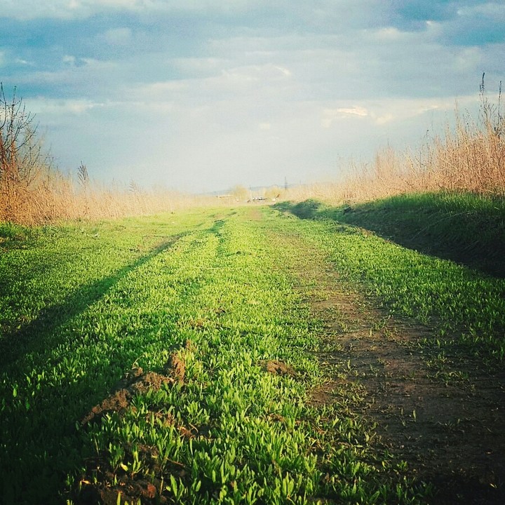 Road to the future