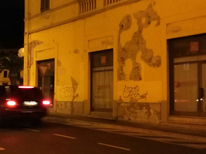 elefante
