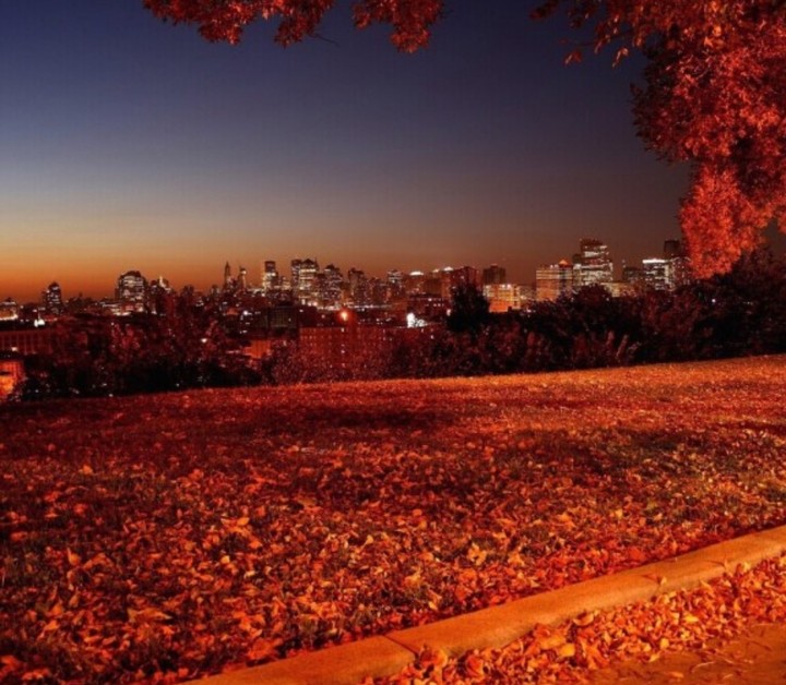 단풍