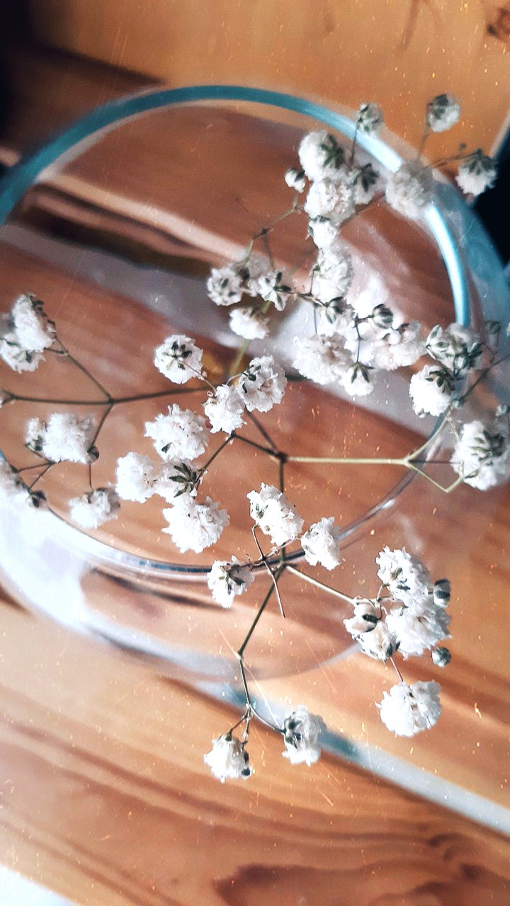 white flower