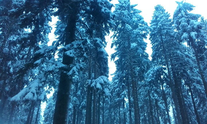 Snow