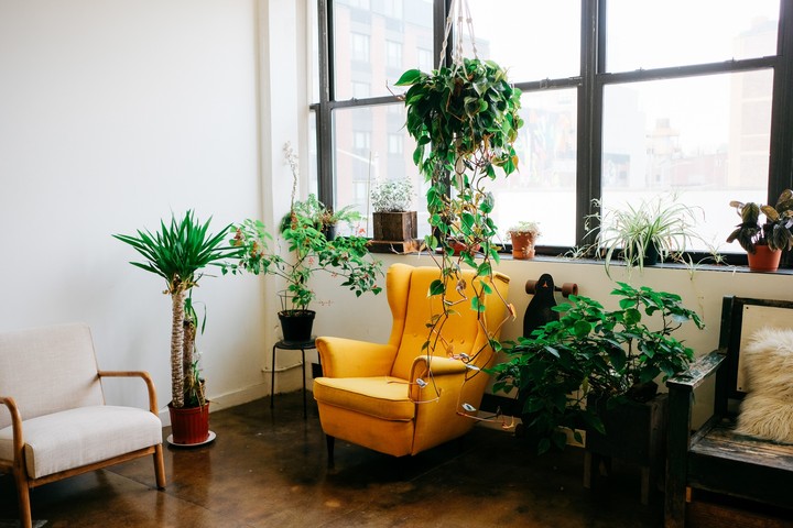 Yellow Chair