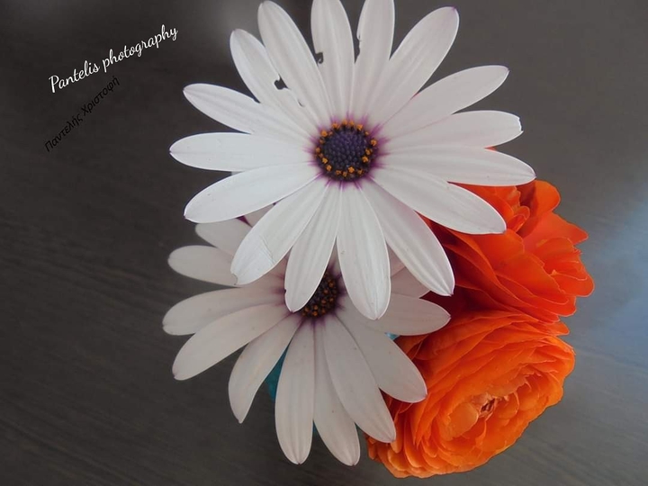 pantelis photography