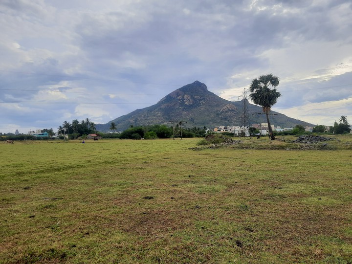tiruvannamalai