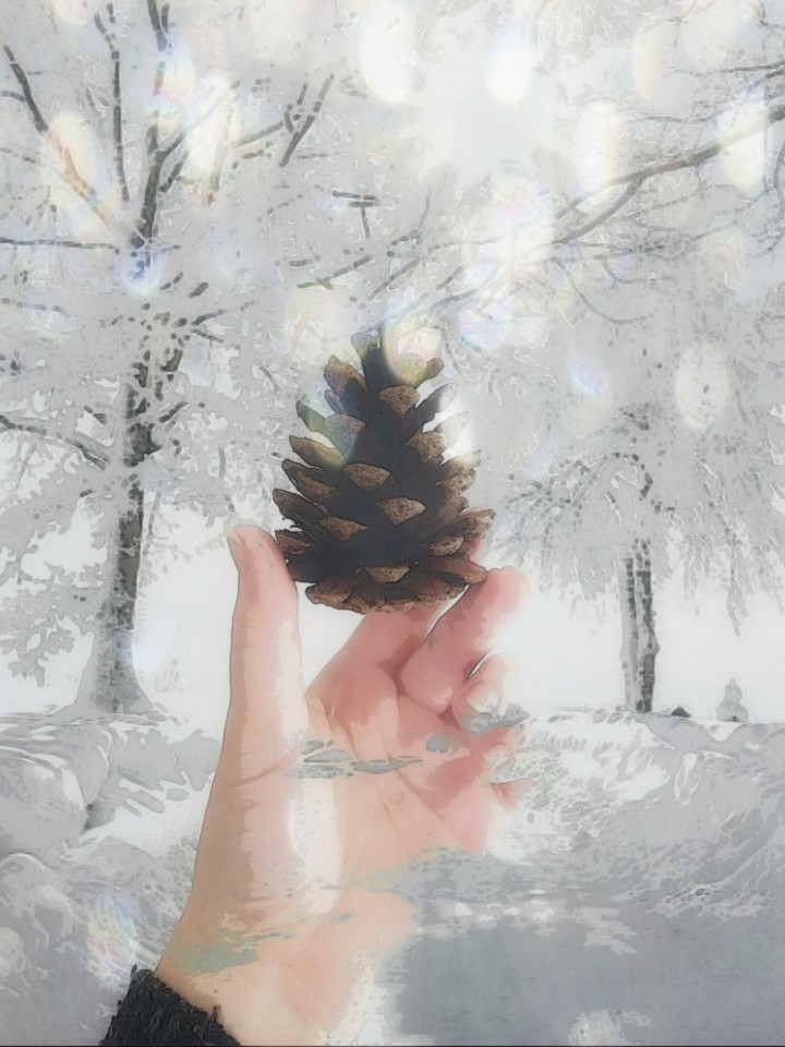 Cone