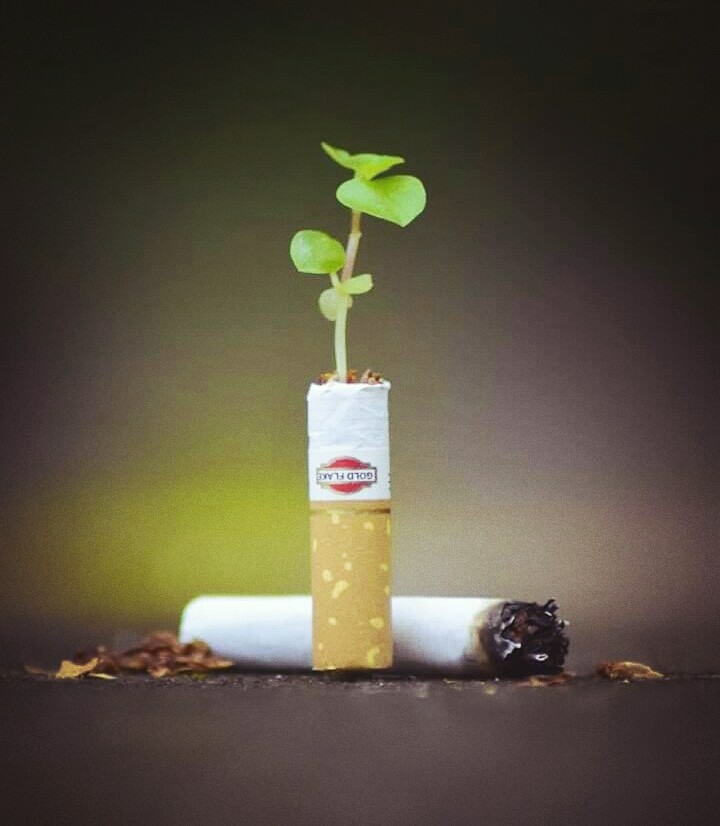 life or death