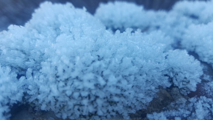 Frozen