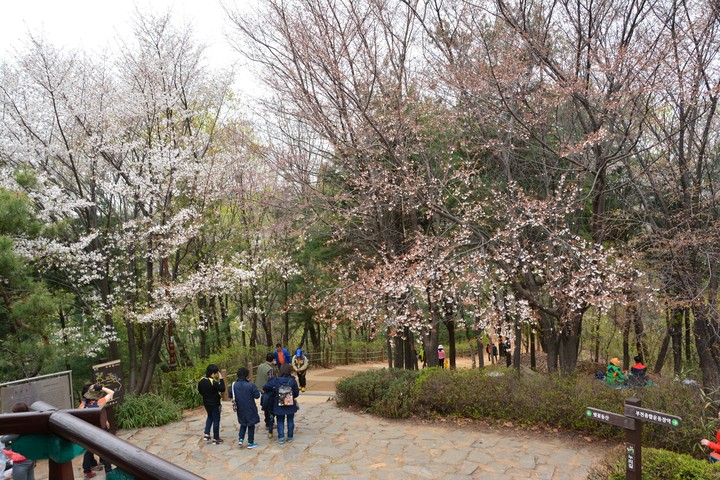 풍경이미지