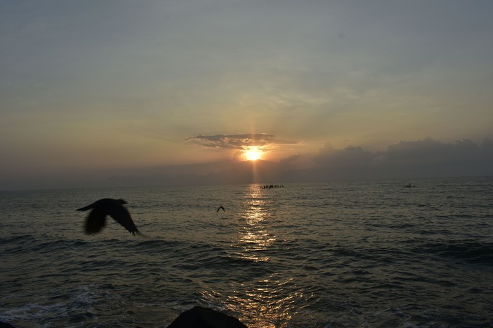 NATURE