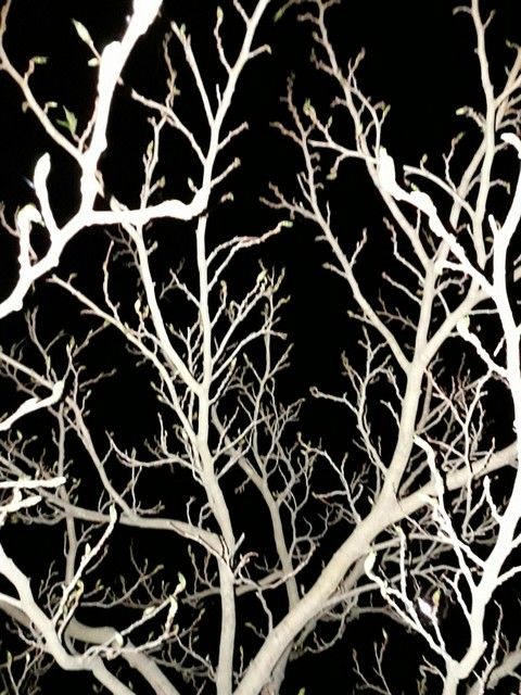 nuit