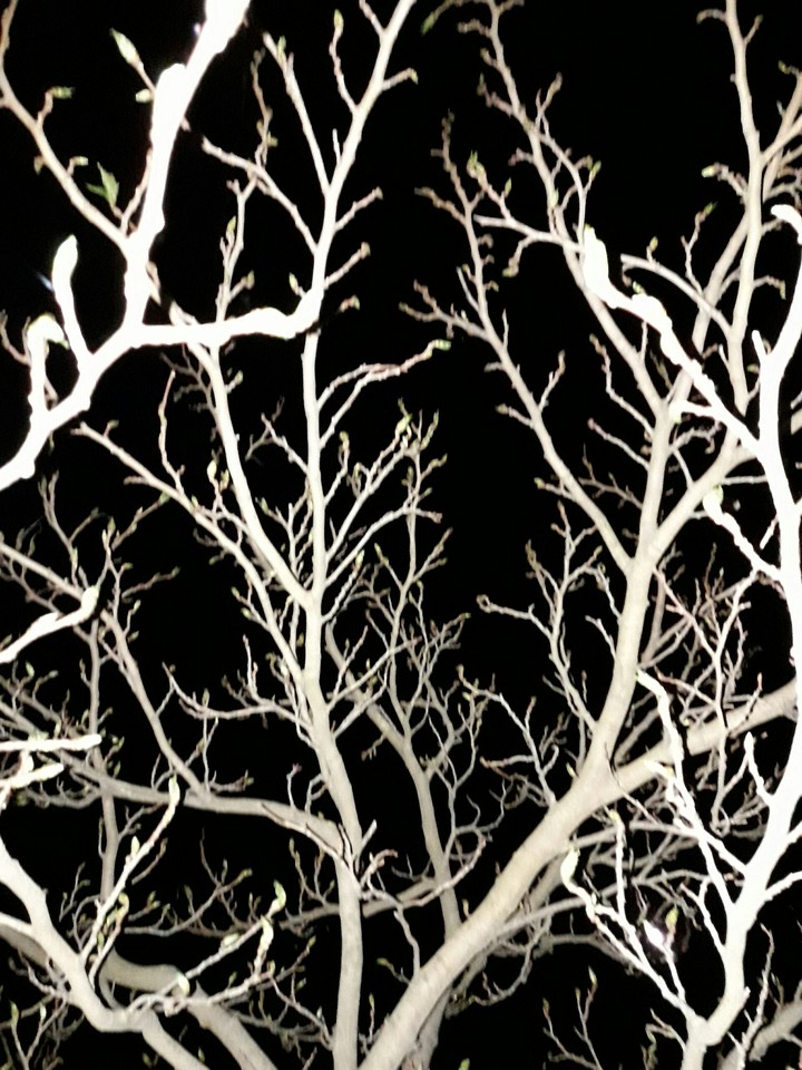 nuit