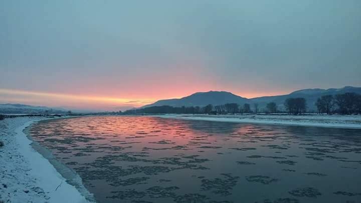 MTKVARI