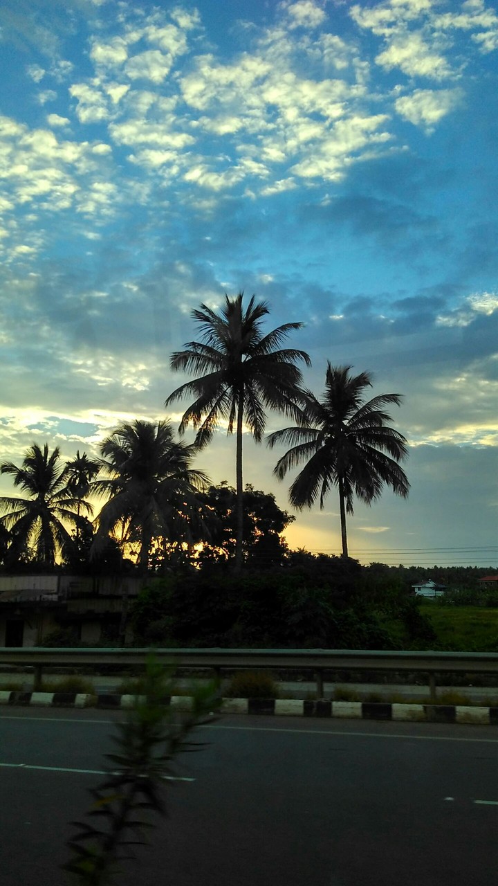 Evening view