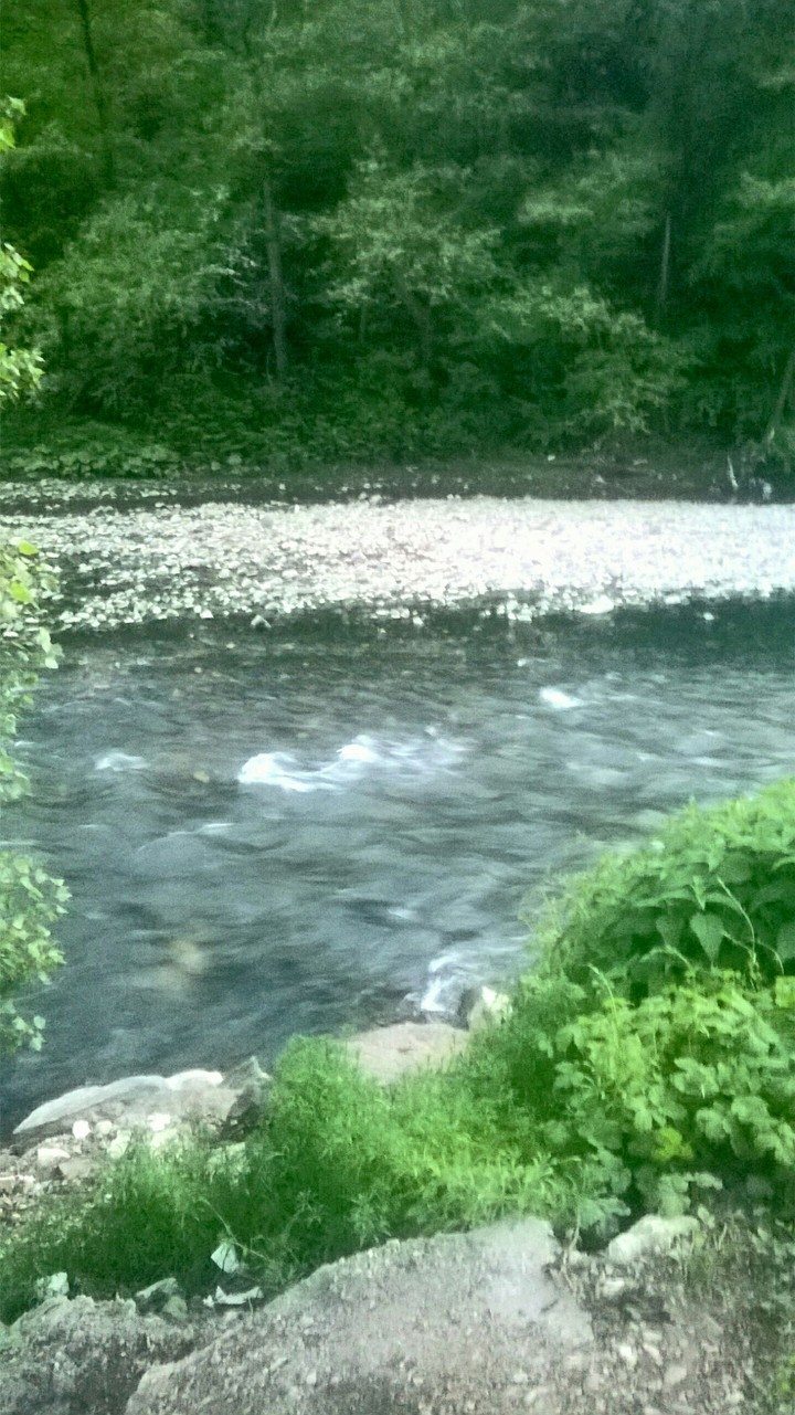 nature
