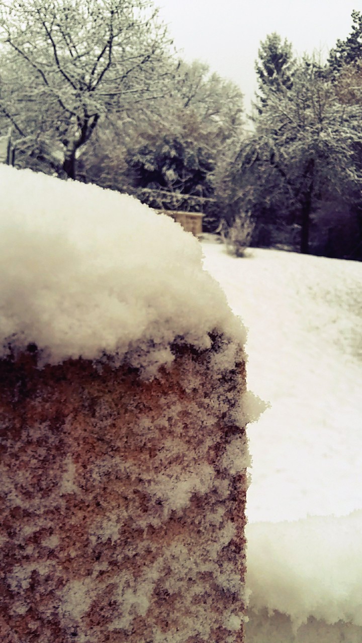 Snowy kingdom