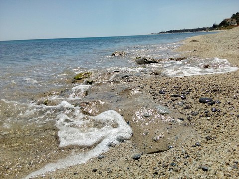 Looking Seaside