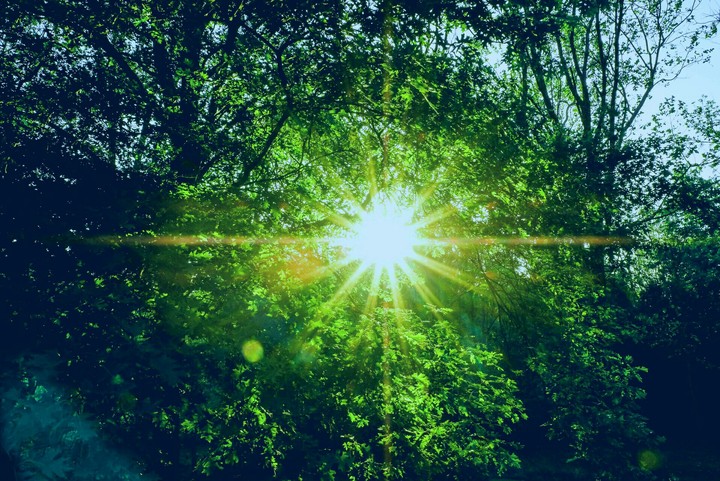 nature at its best
