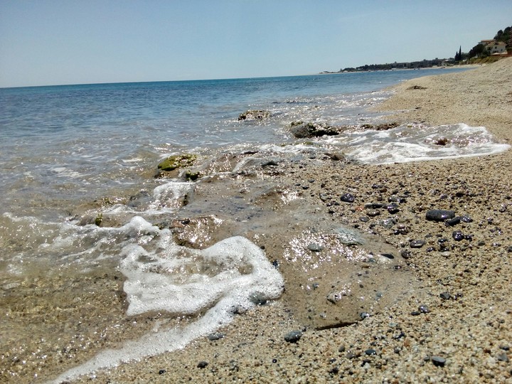 Looking Seaside