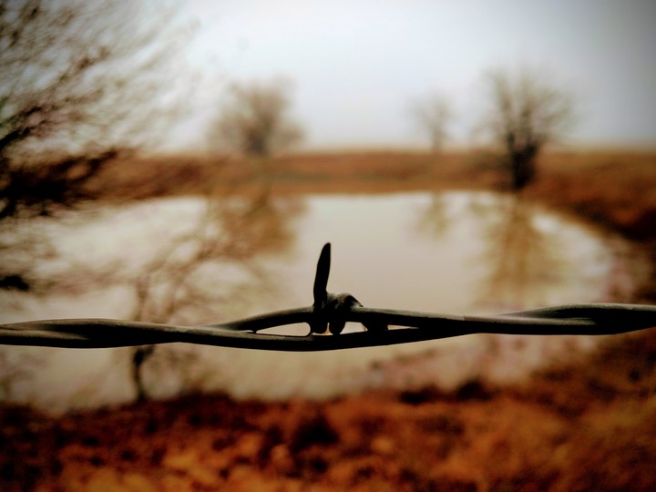 Barbed Wire