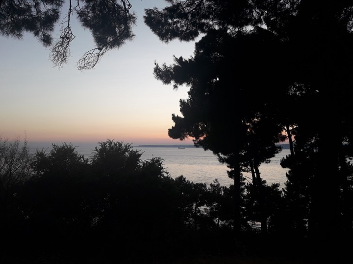 Manzara