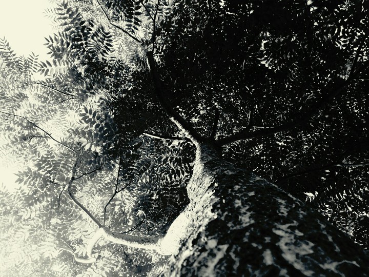 under shade