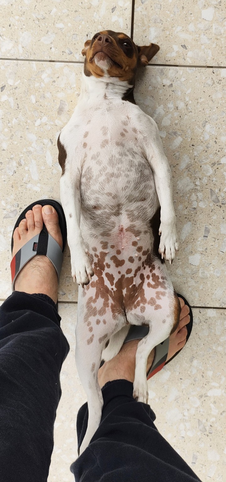 Yumi - São Paulo - BRAZIL