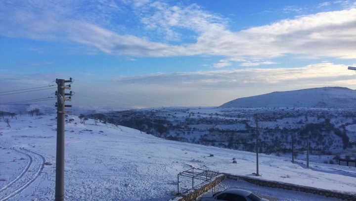 ❄️